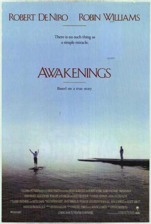 Despertares (1990)