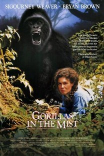 Gorilas en la niebla. La aventura de Dian Fossey (1988)