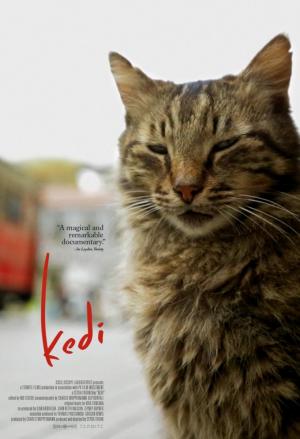 Kedi (Gatos de Estambul) (2016) - Película