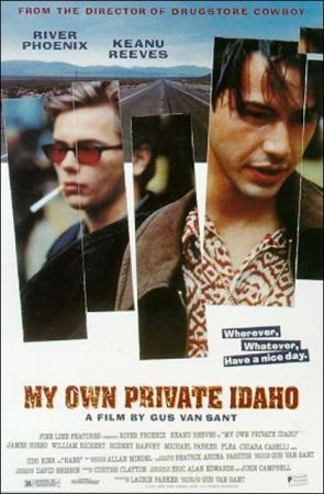 Mi Idaho privado (1991)