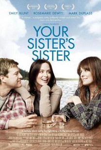 El Amigo de mi Hermana (2011) - Película